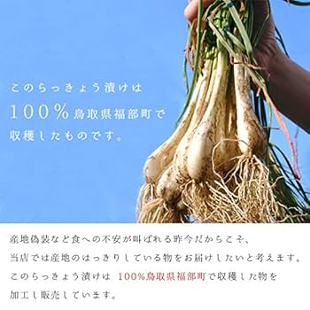 鳥取県産 砂丘らっきょう★18日㈬発送★ Amazon | 根付き 砂丘らっきょう 秀品 L～Sサイズ 5kg 鳥取県産
